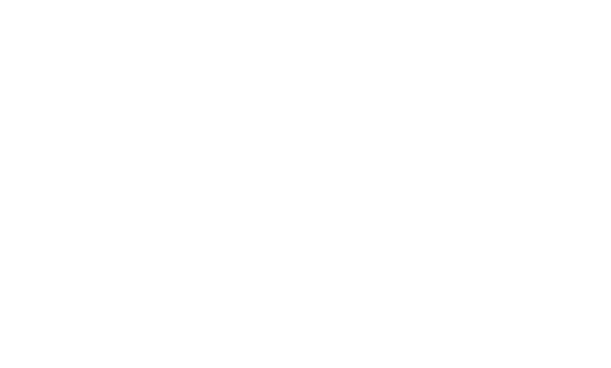 Naramedic Logo